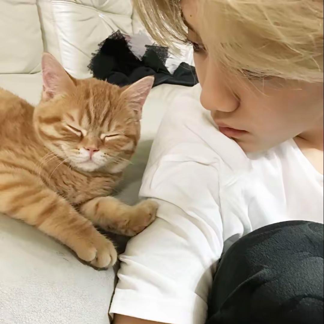 Nana^