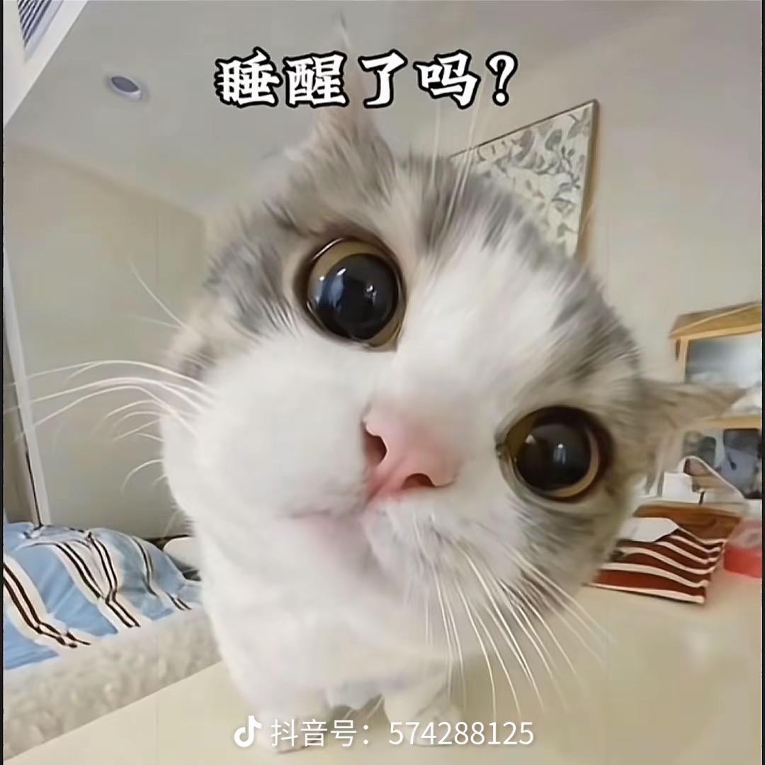 ¹一克拉梦想⁵²⁰