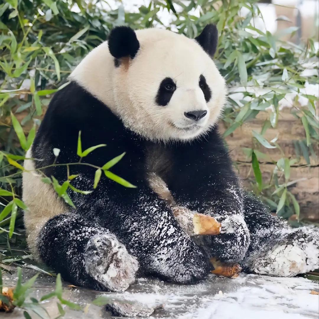 亦如是