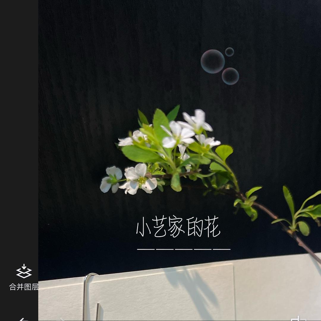 小艺家的花