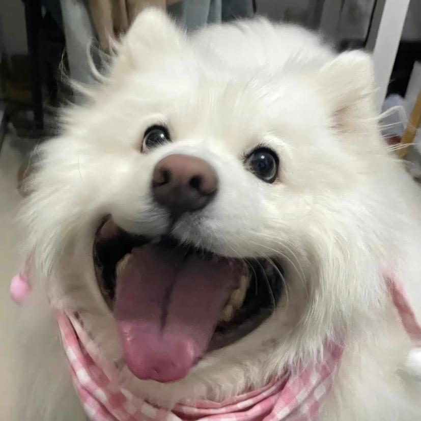 能淦三碗粉
