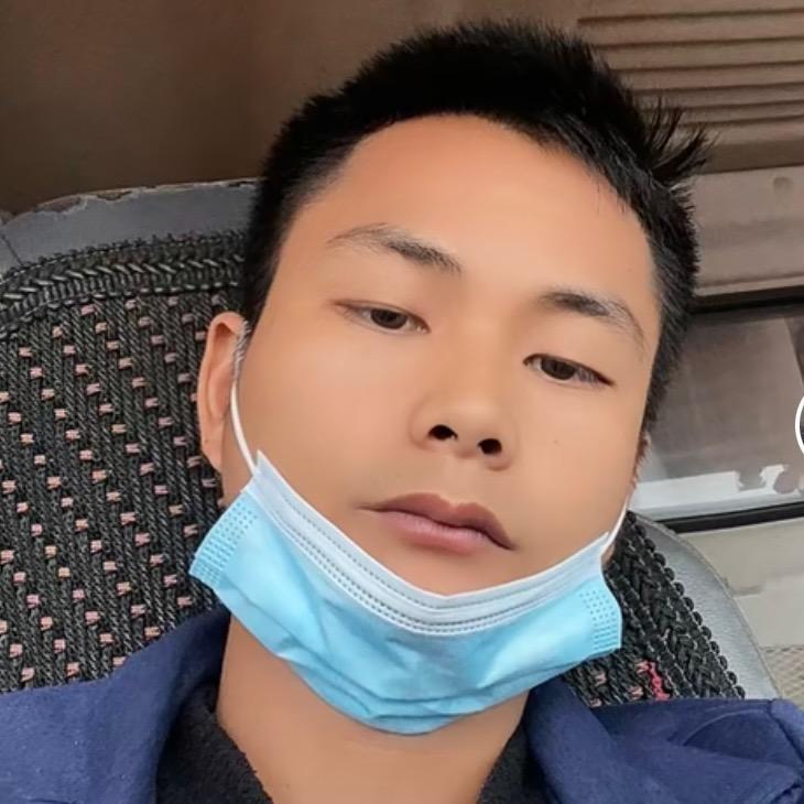 车里物旅行床