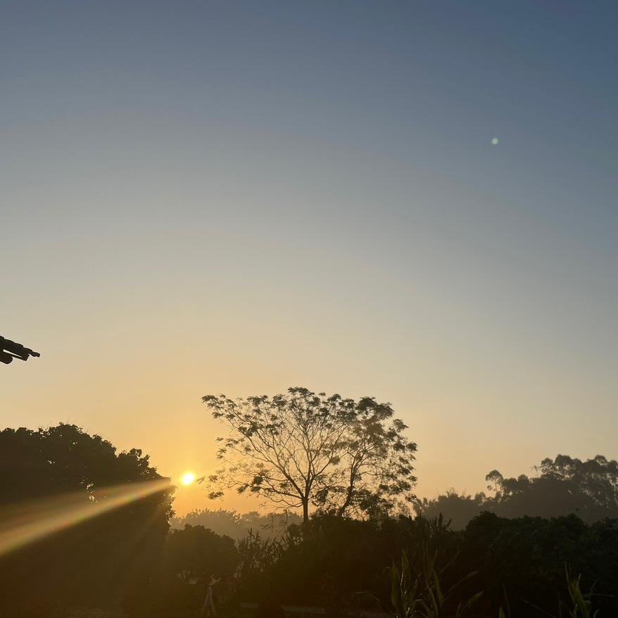 比奇堡没有海怪