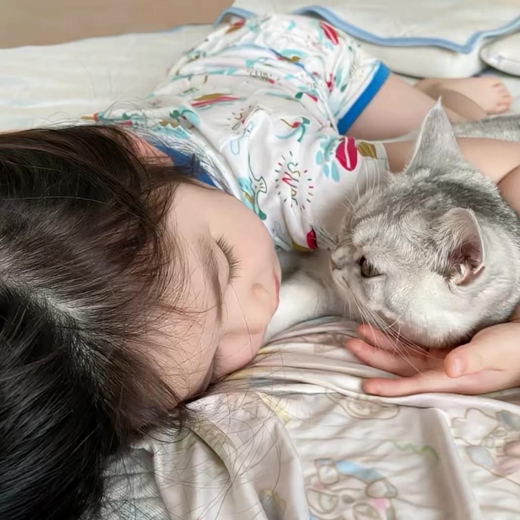 鲷鱼烧ᯅ̈🐾