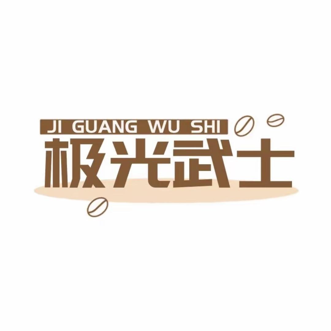 极光武士汽车灯一号