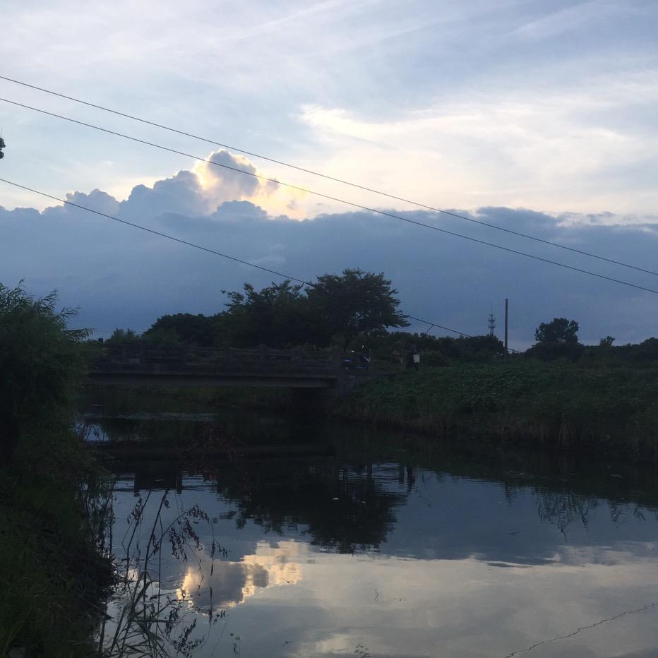 灼<T夭(๑• . •๑)
