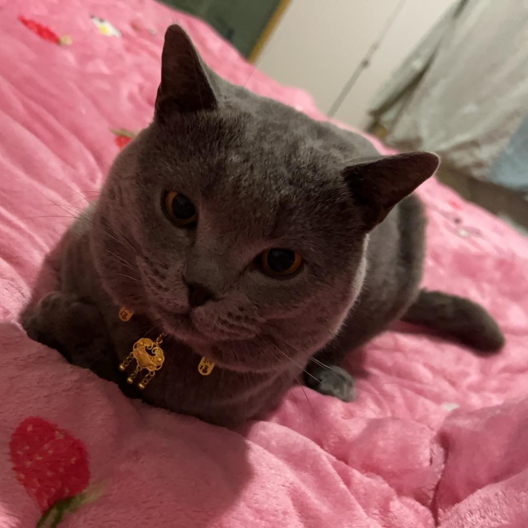 芯🧚🏾‍♀️语