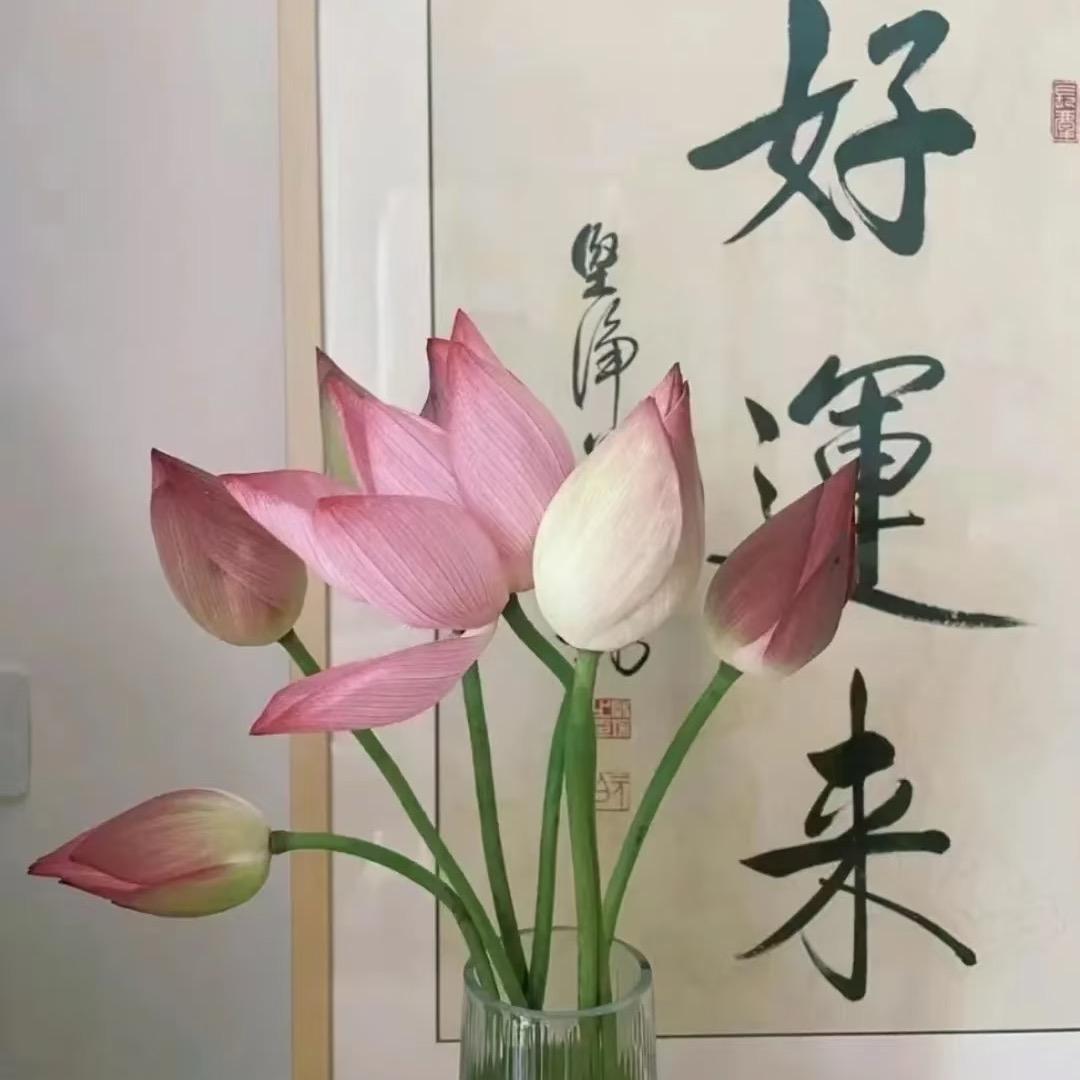 高高高兴