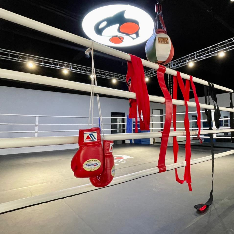 虎鲸格斗健身俱乐部官方号