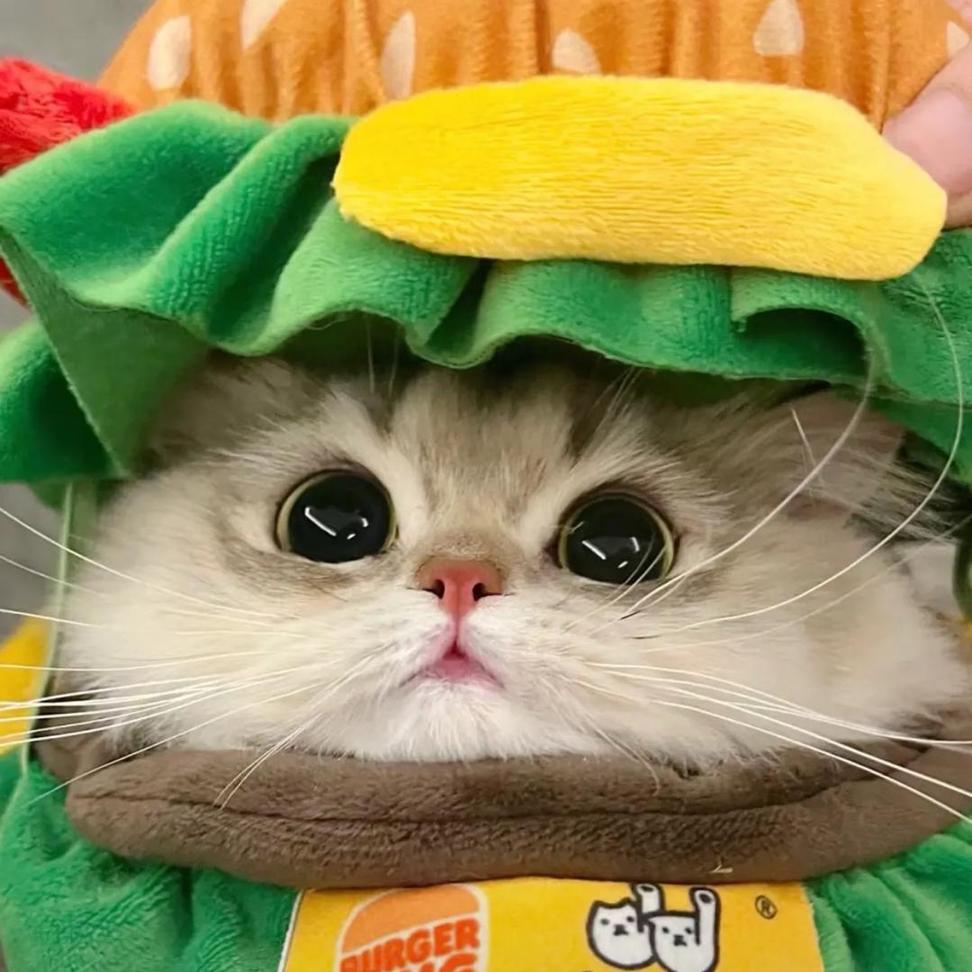 顾