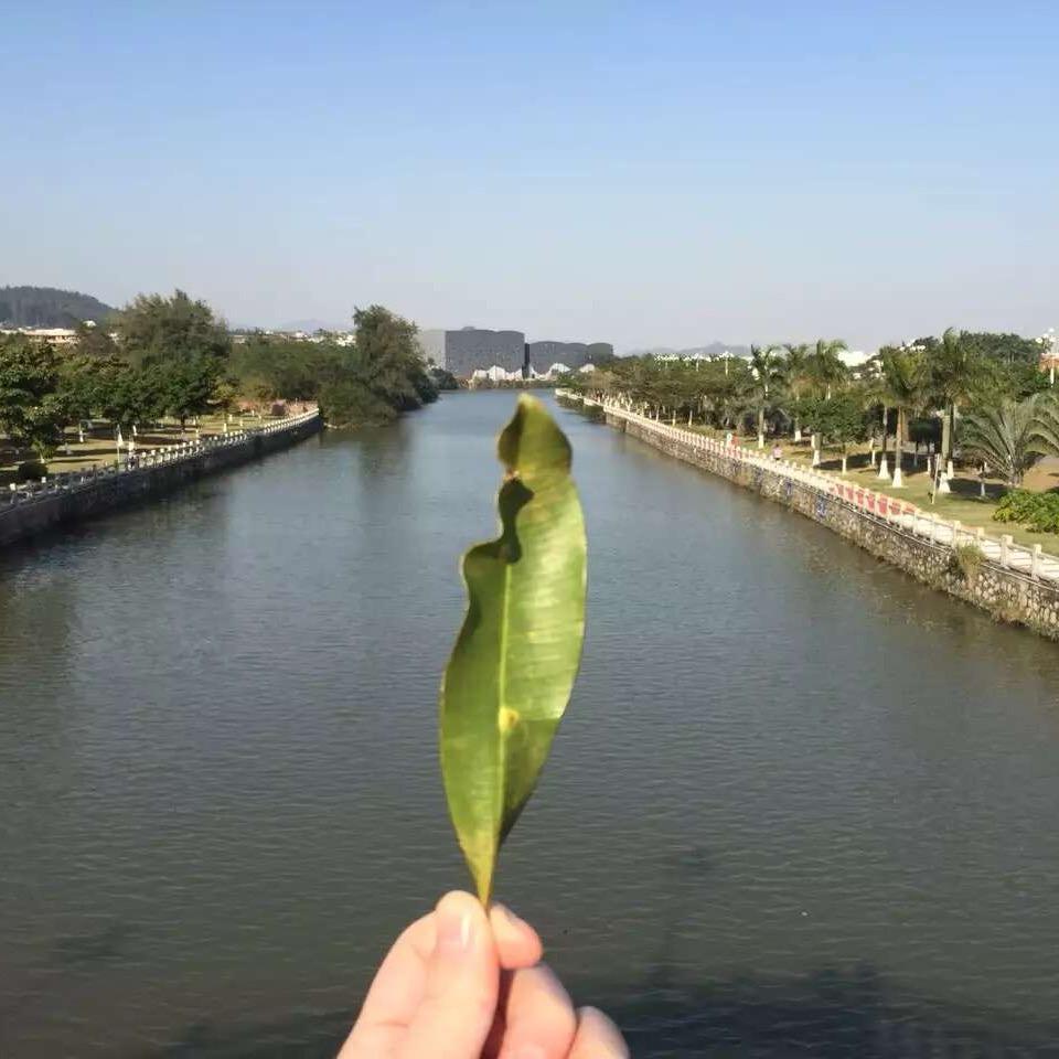 H.