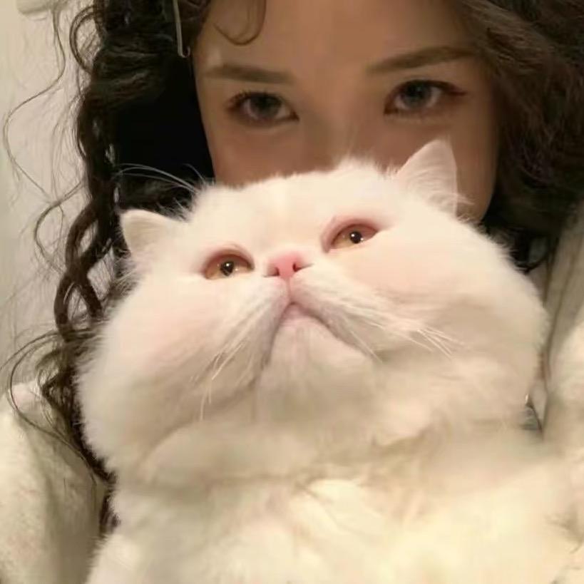 清汤汁汁侠