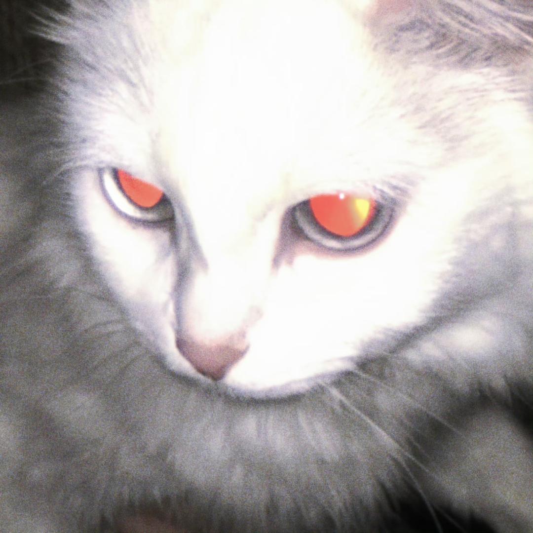 Conikeio