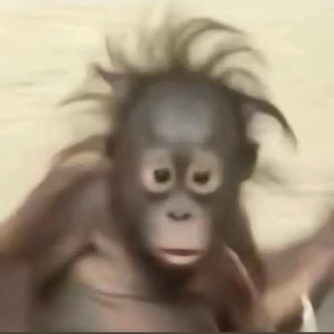 陆应科