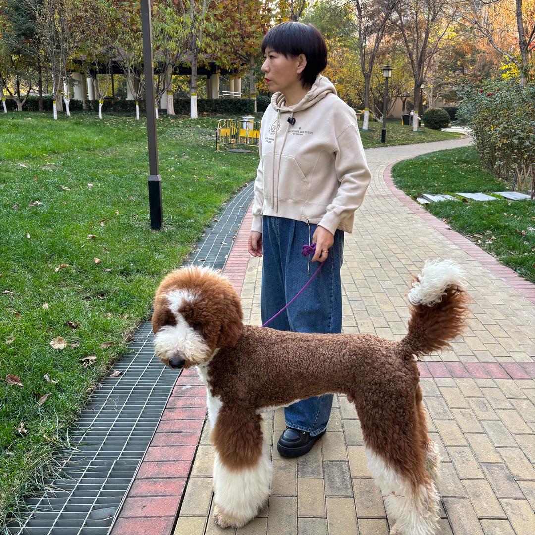 好多巨贵（芳芳巨贵）