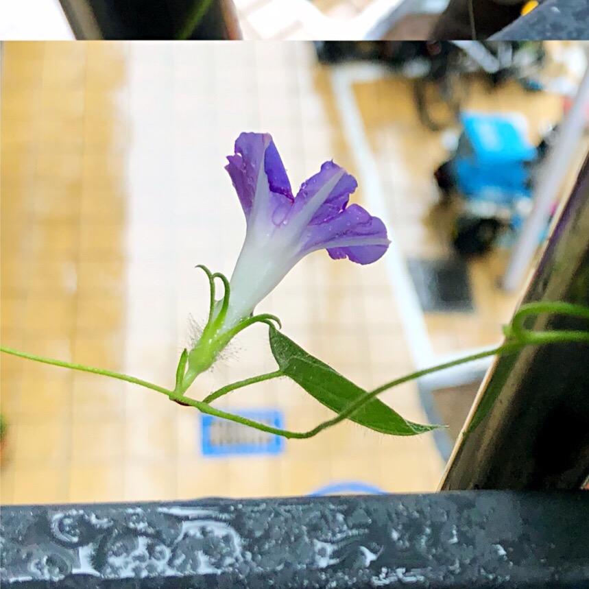 唯唯日记