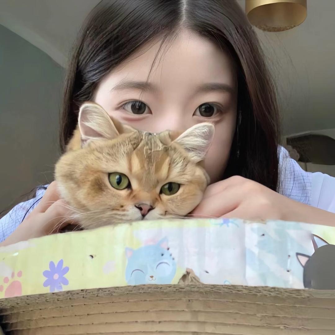困困雪💤