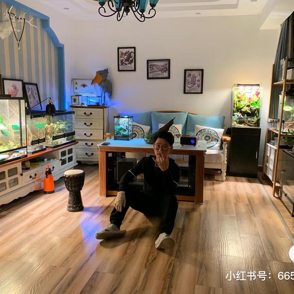 JZ的奇趣爬宠