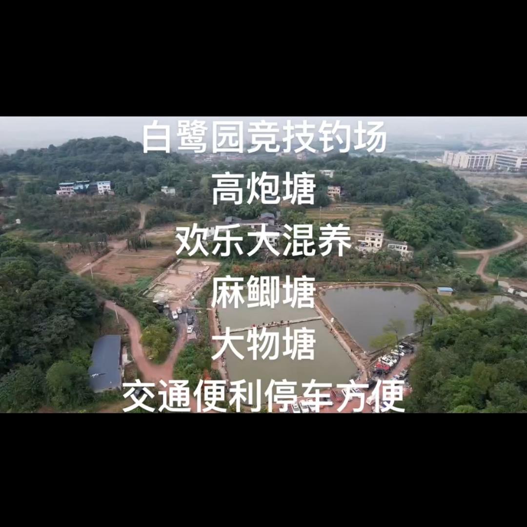 白鹭园2号欢乐塘