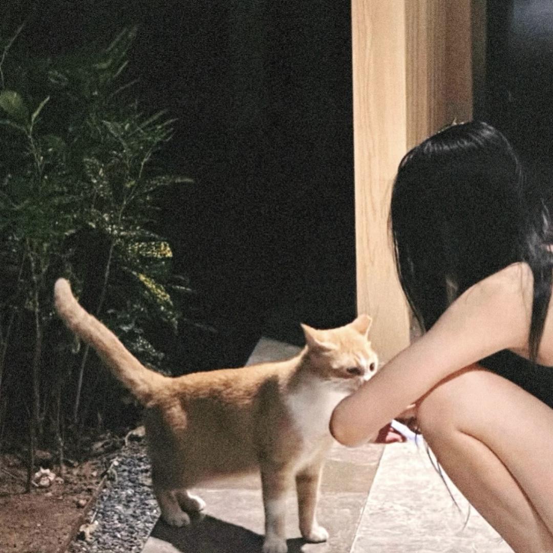 微生阳