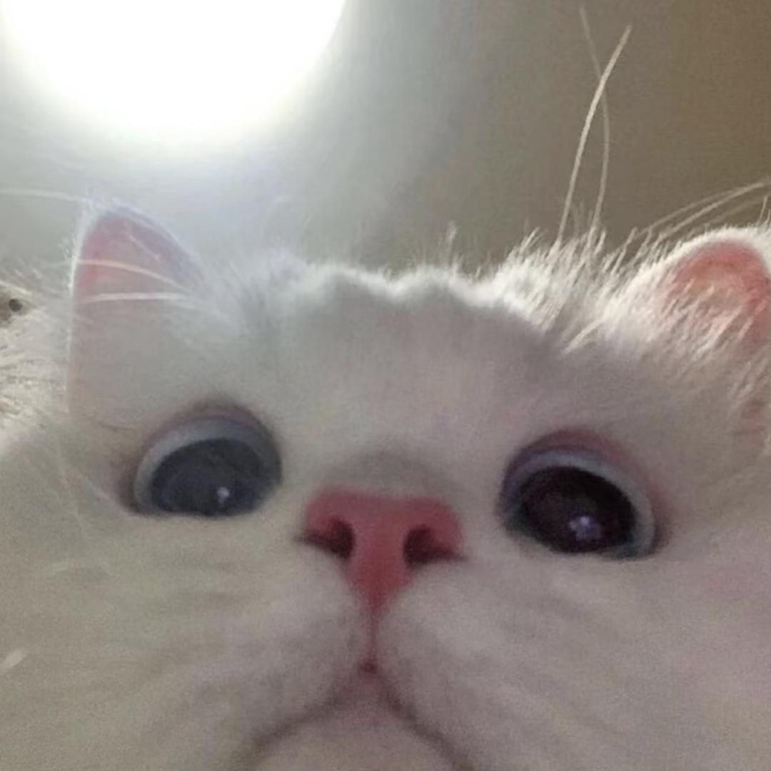 ㅤ    ㅤ
