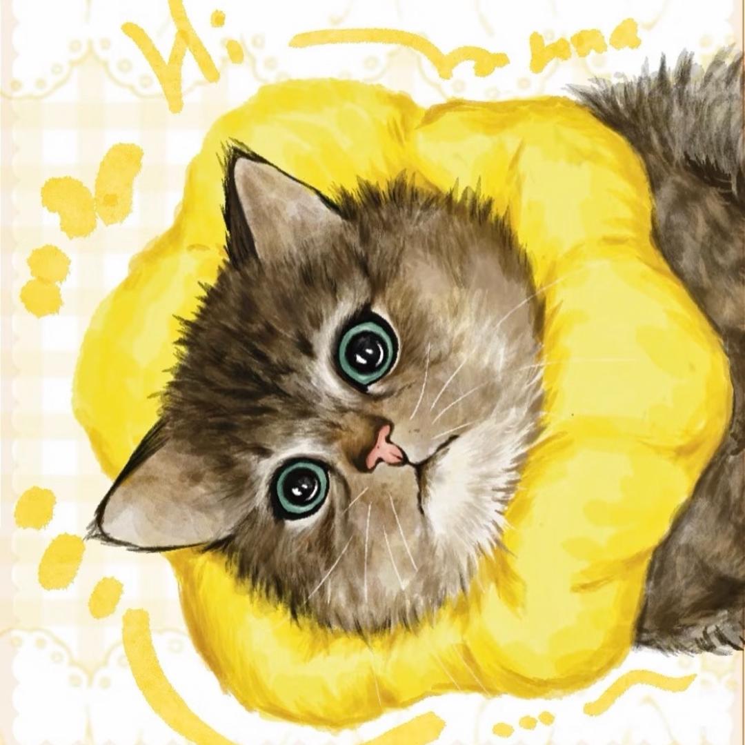 对对对你说的都对🙂