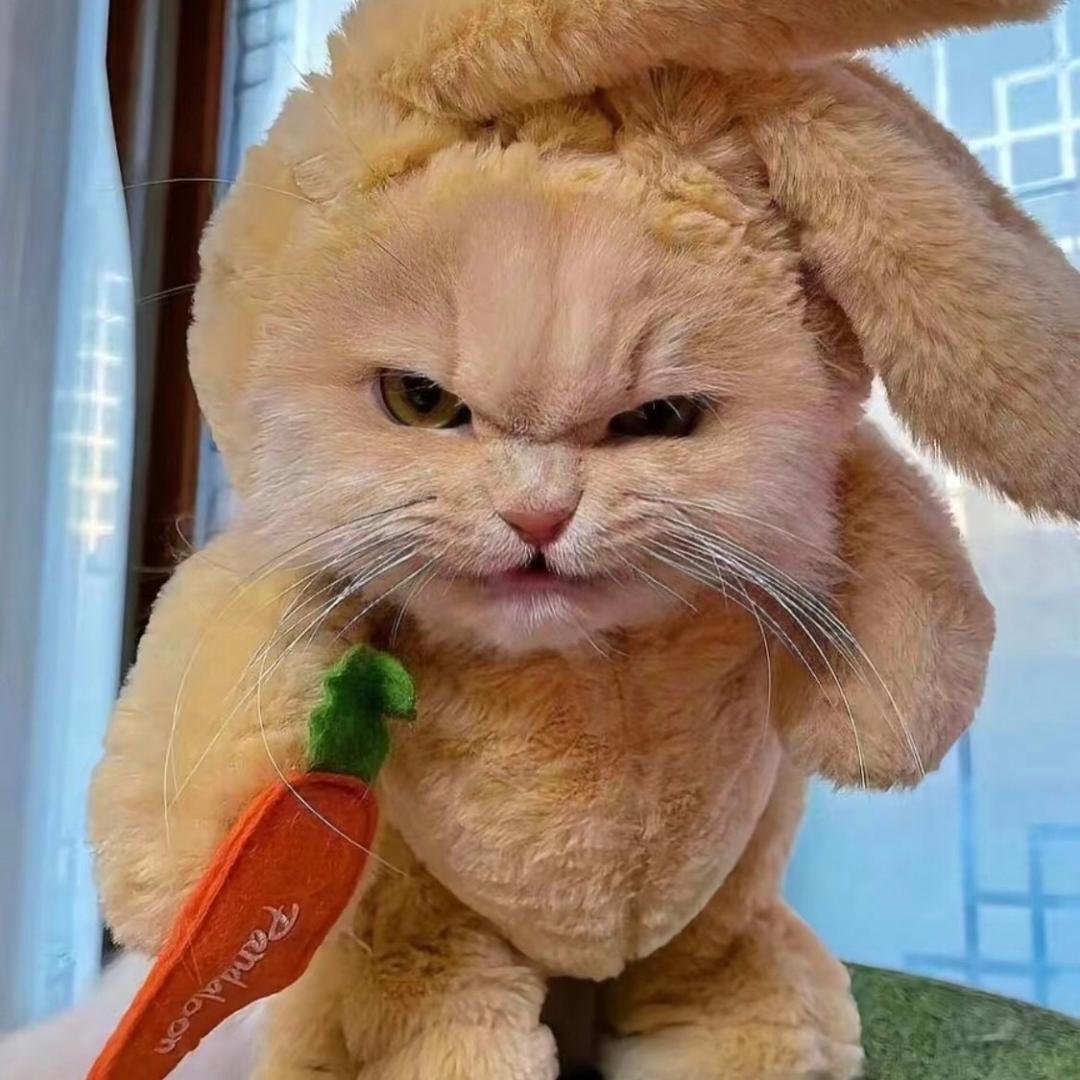 养生园