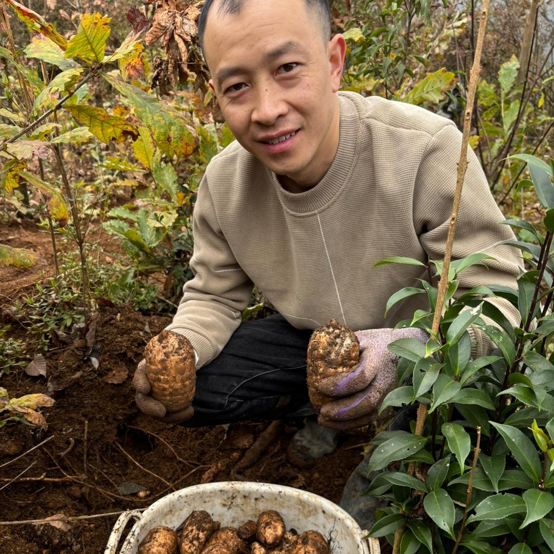 小草坝邹家乌天麻店