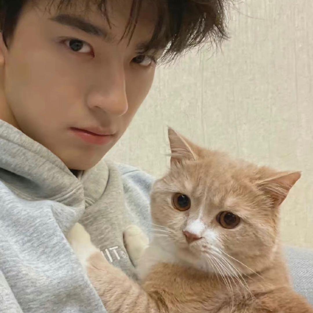 世上只有两种人一种大便通畅的一种拉不出的