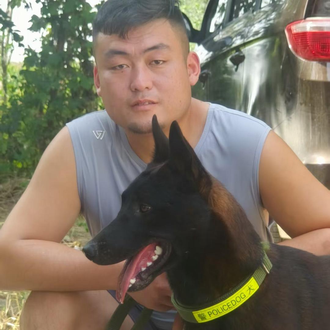 小朋马犬