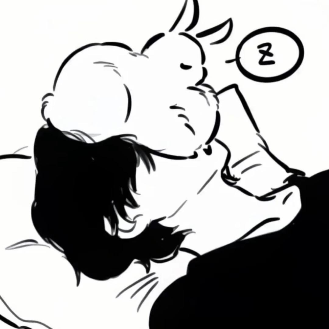 觉觉猪（求关注版）