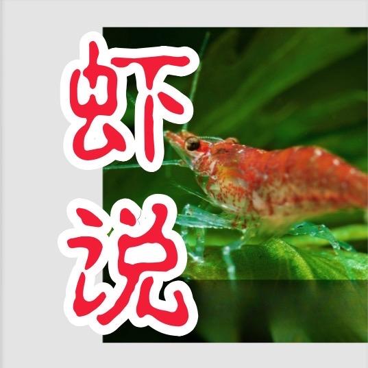 观赏虾养殖基地