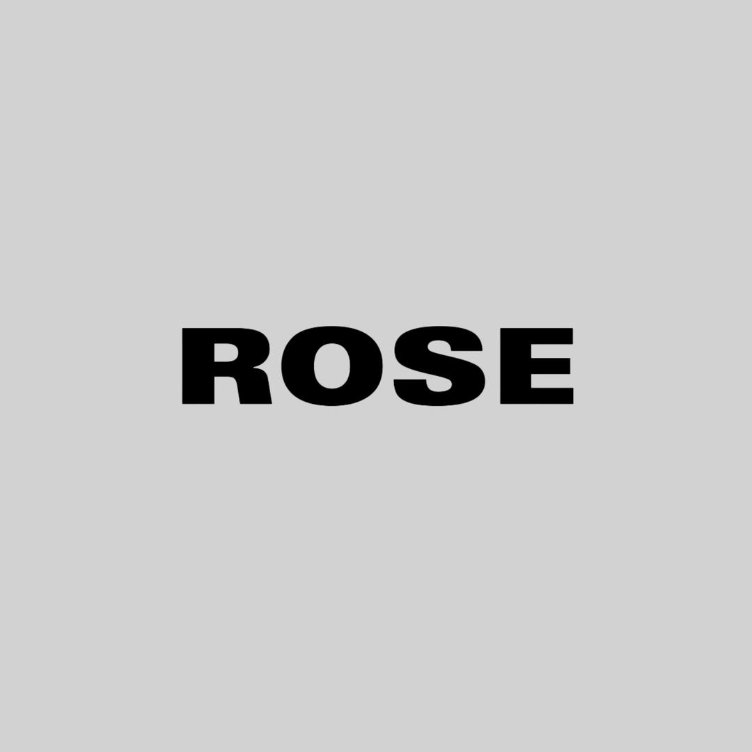 INB100_ROSE（和伯贤见面版