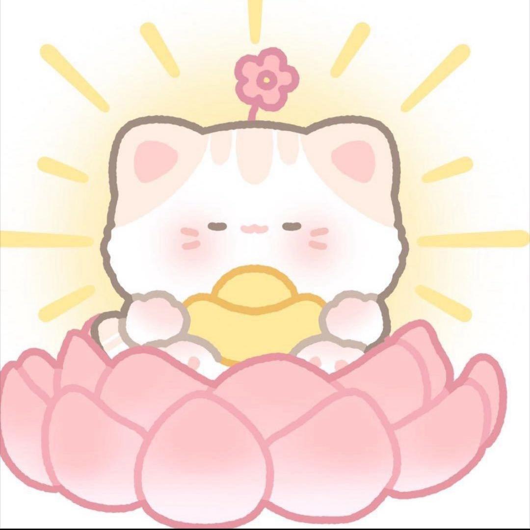 🌈🎉月亮小饼干