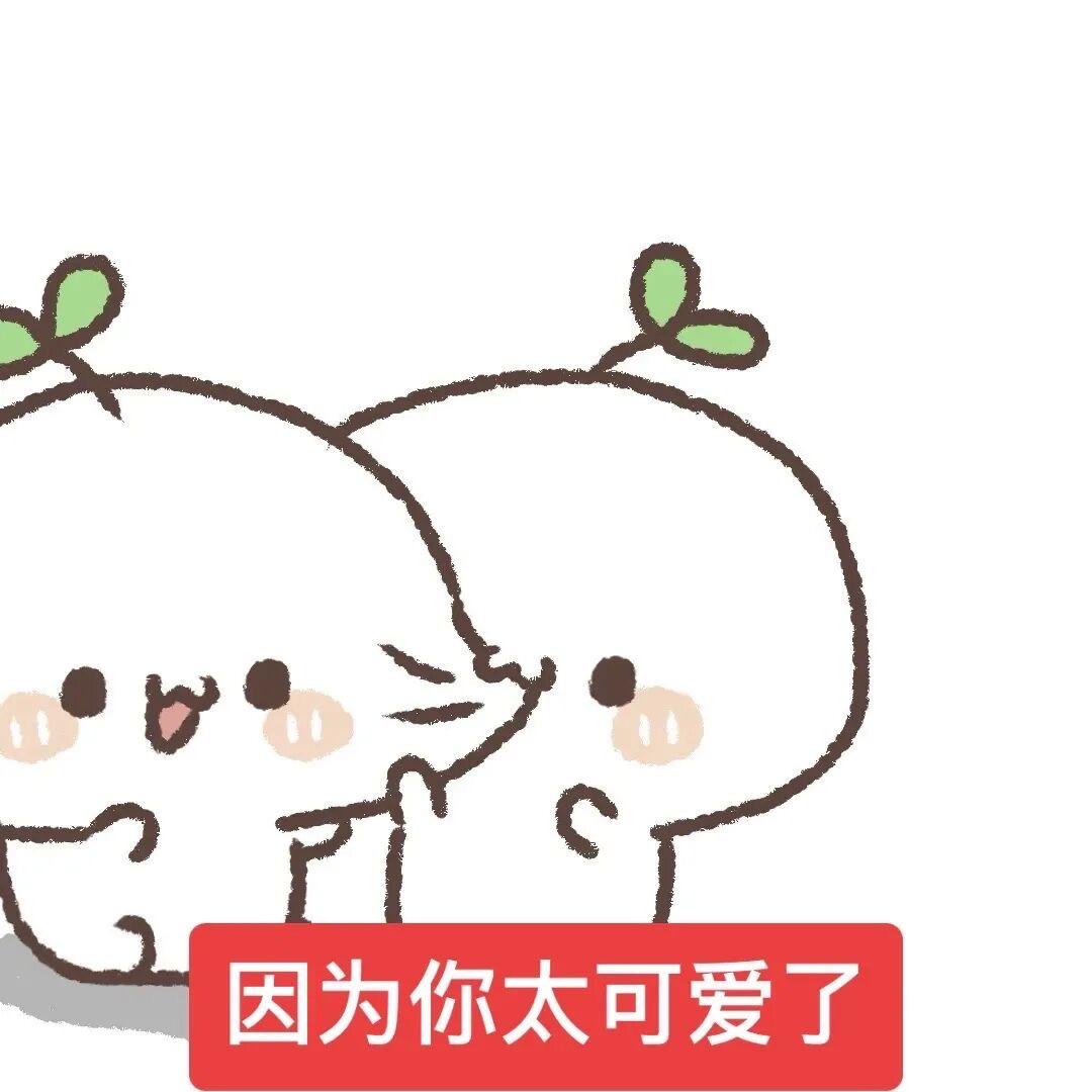 石灰街车站买海鸥