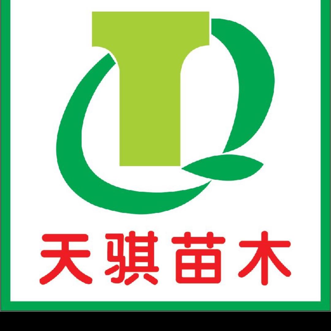 天骐苗木：南天竹
