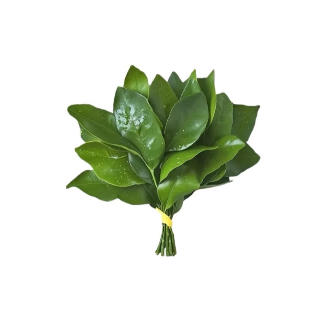 小O