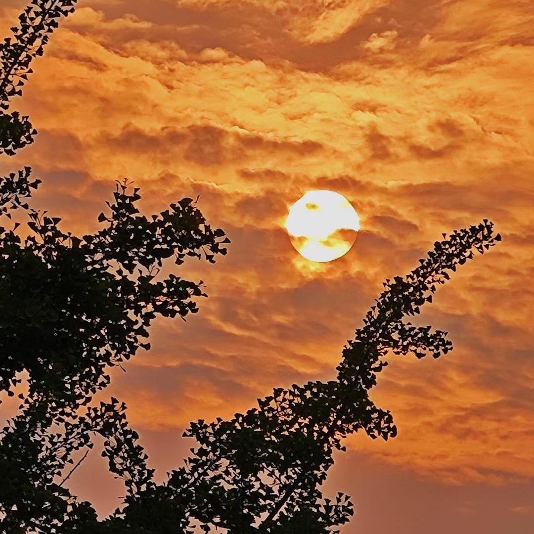 衢州鸭头陈集店