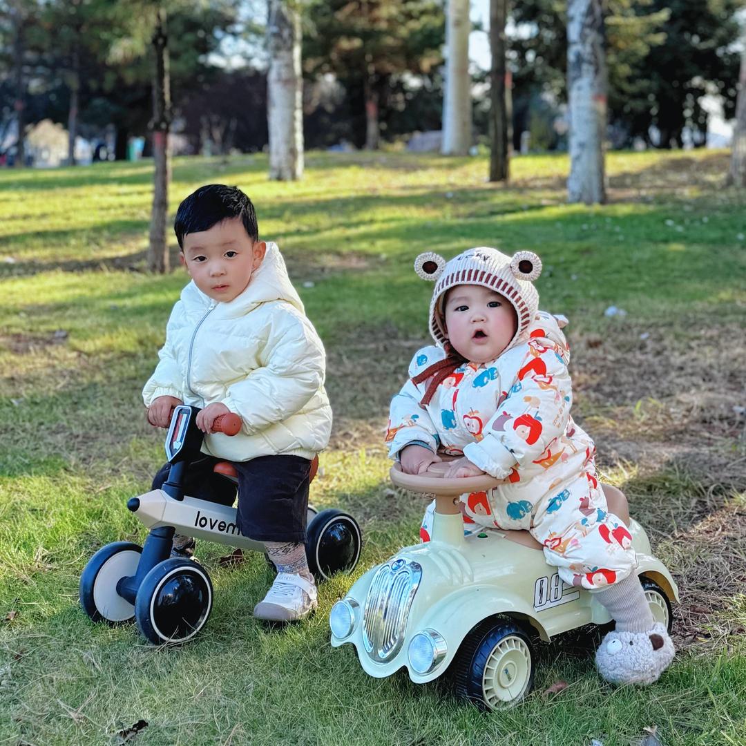 两只旺旺旺