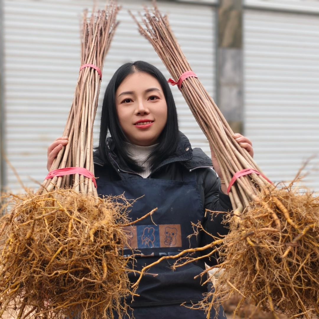 渝利苗木种植基地