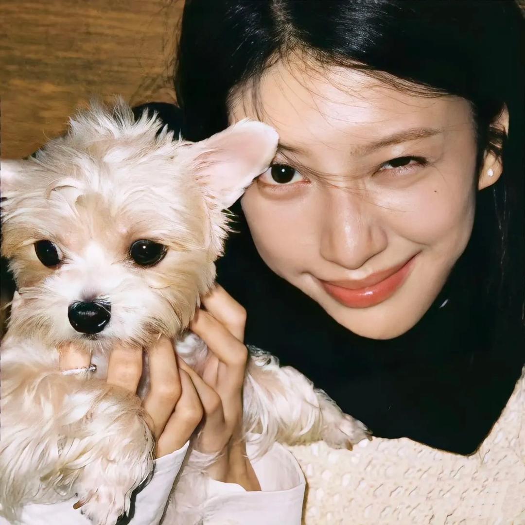 一只真猪🐷