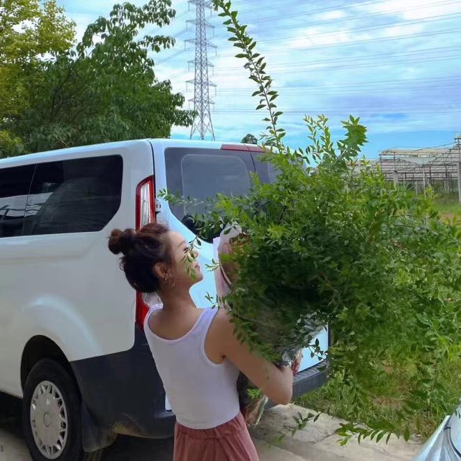 叽叽喳喳丽米呀