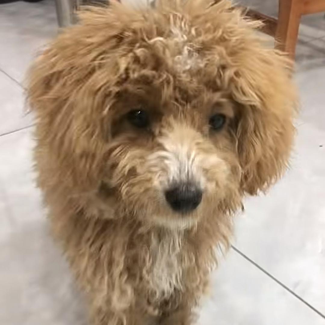 ꕥ᭄: ঠᩚ᭄举杯🍶⃟ꦽ敬