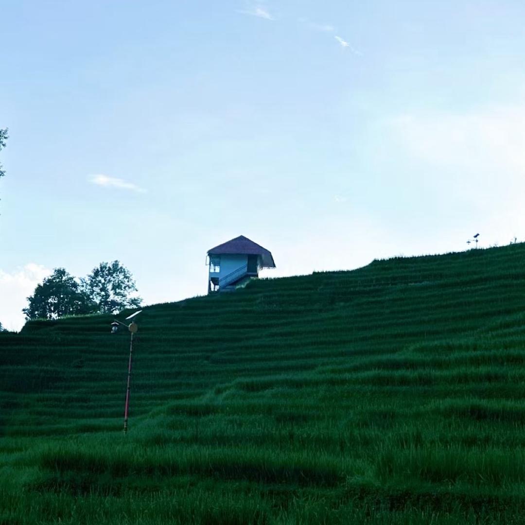 云耕者·心铸魂🇨🇳