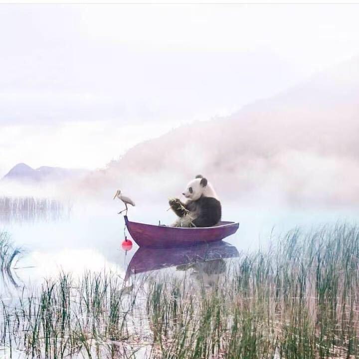 黑夜里的一条小路