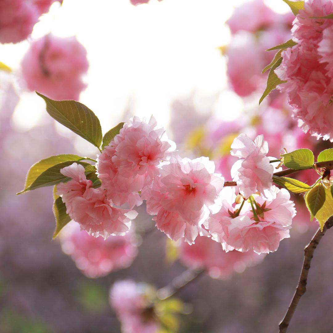 是芳芳啊