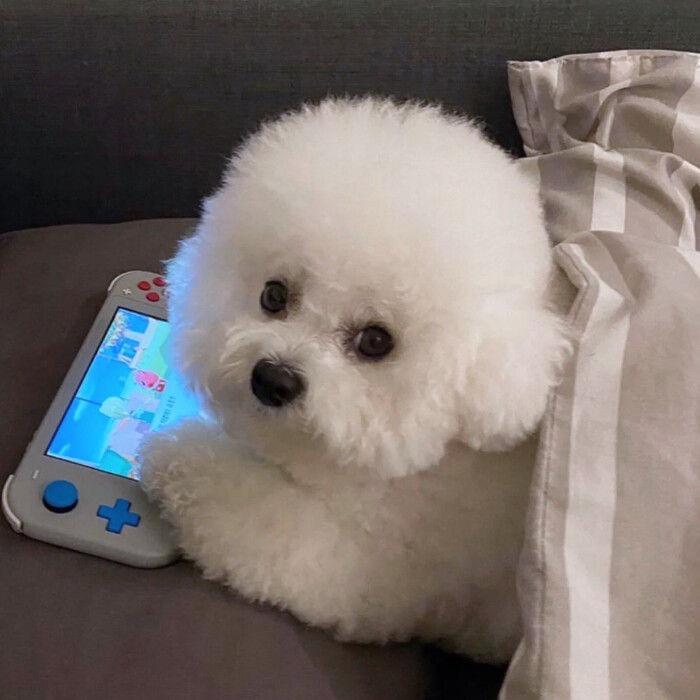 苦瓜好苦