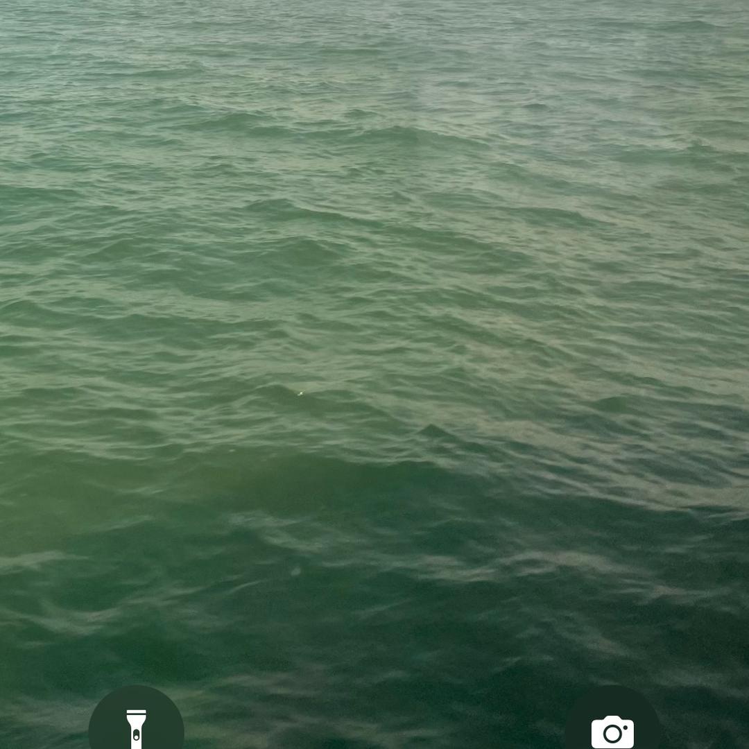 善待每一天