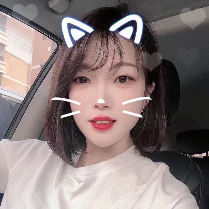 燕子的日常