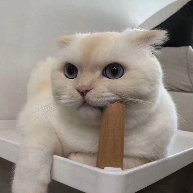 小小小